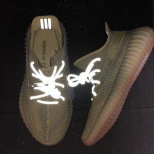 Adidas Yeezy Boost 350 V2 Antlia Fv3250 - Image 4