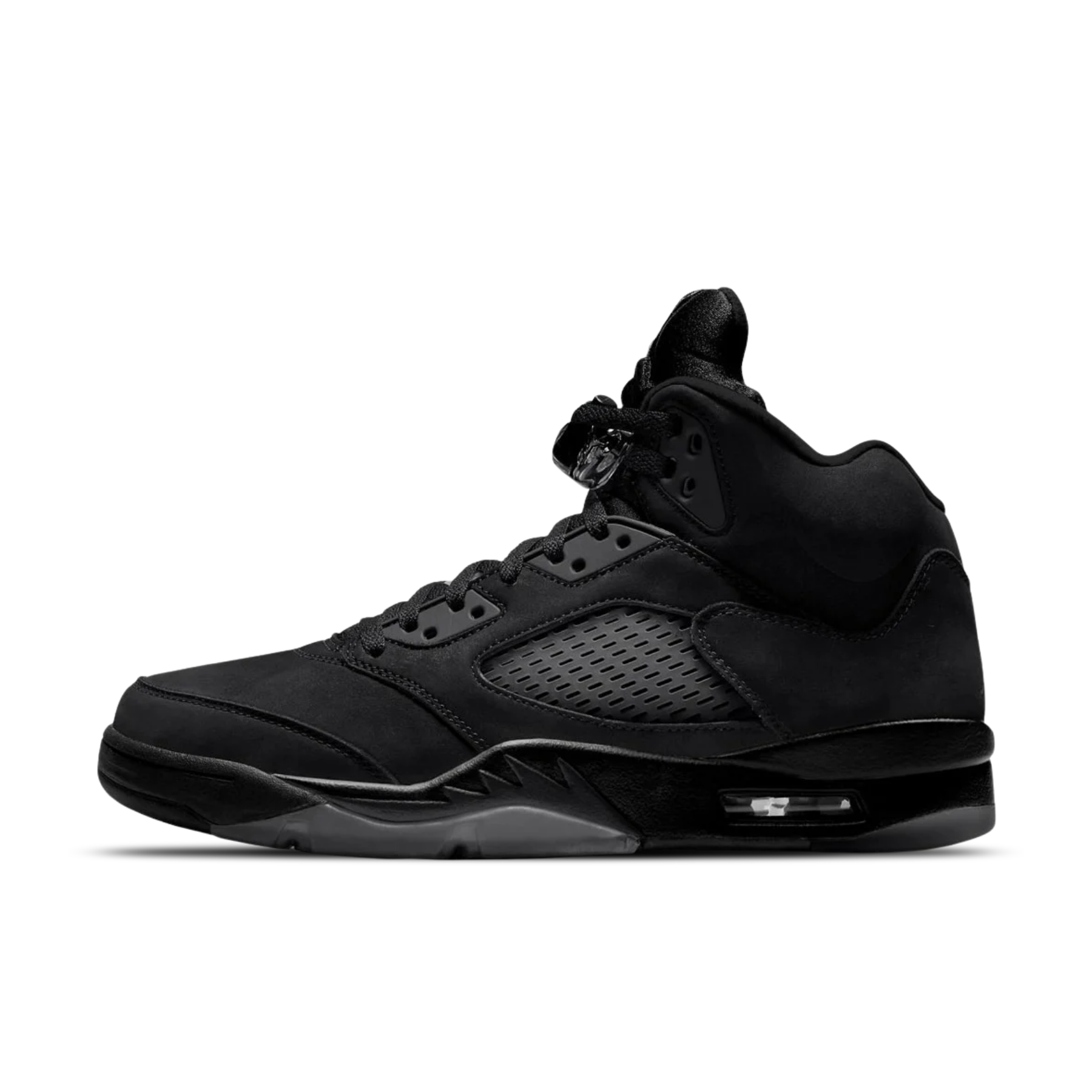 Air Jordan 5 SE "Black Cat" (FZ2239-001)